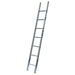 Premium Trade Single-Section Ladder | EN131-2 Certified | Lyte - RackitDirect